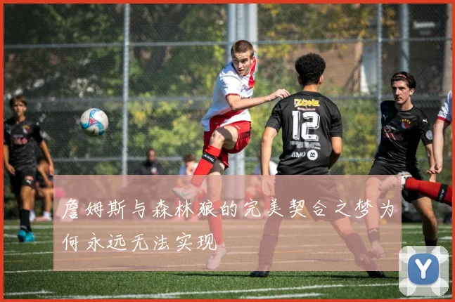 詹姆斯与森林狼的完美契合之梦为何永远无法实现