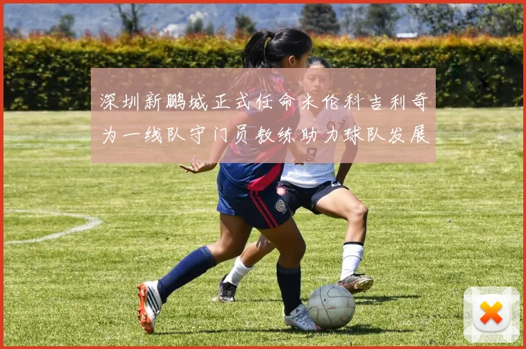 深圳新鹏城正式任命米伦科吉利奇为一线队守门员教练助力球队发展