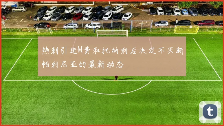 热刺引进M费和托纳利后决定不买断帕利尼亚的最新动态